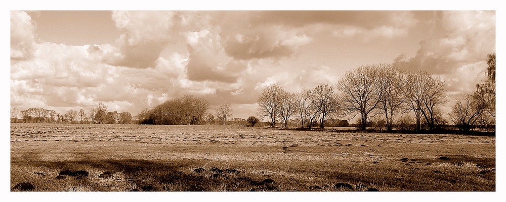 Winterwiese in Sepia