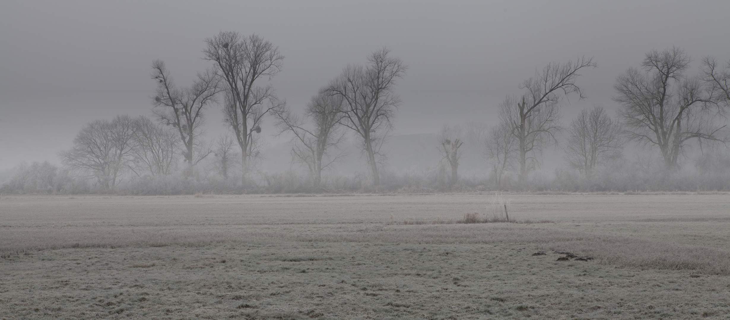 Winterwiesen