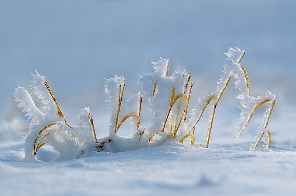 Winterwiesenskulptur