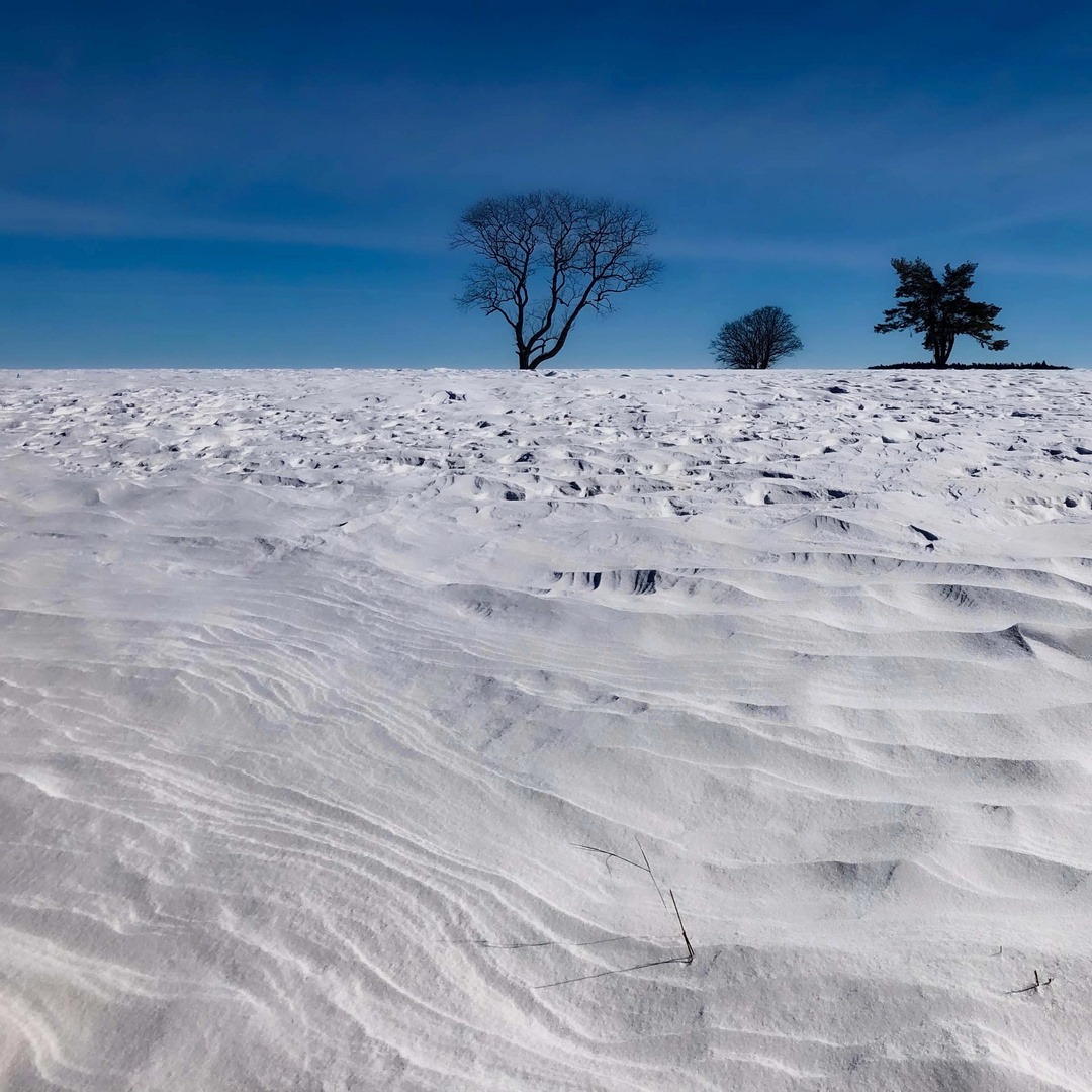 Winterwindformen