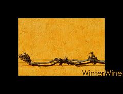 [winterwine]