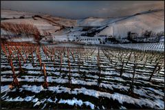 winterwine