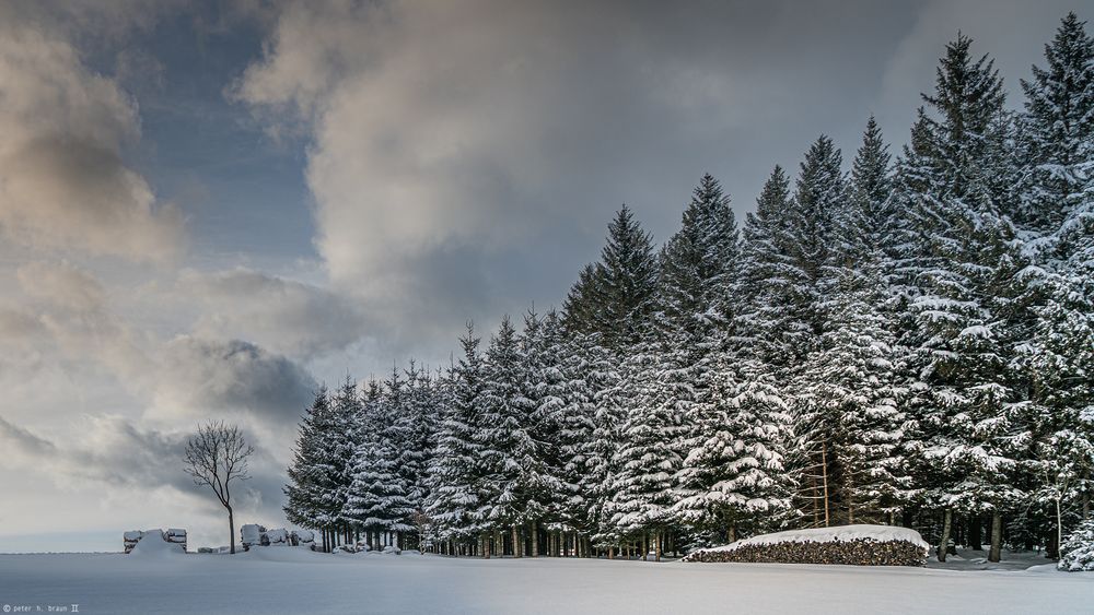 Winter.Wolken.Wald