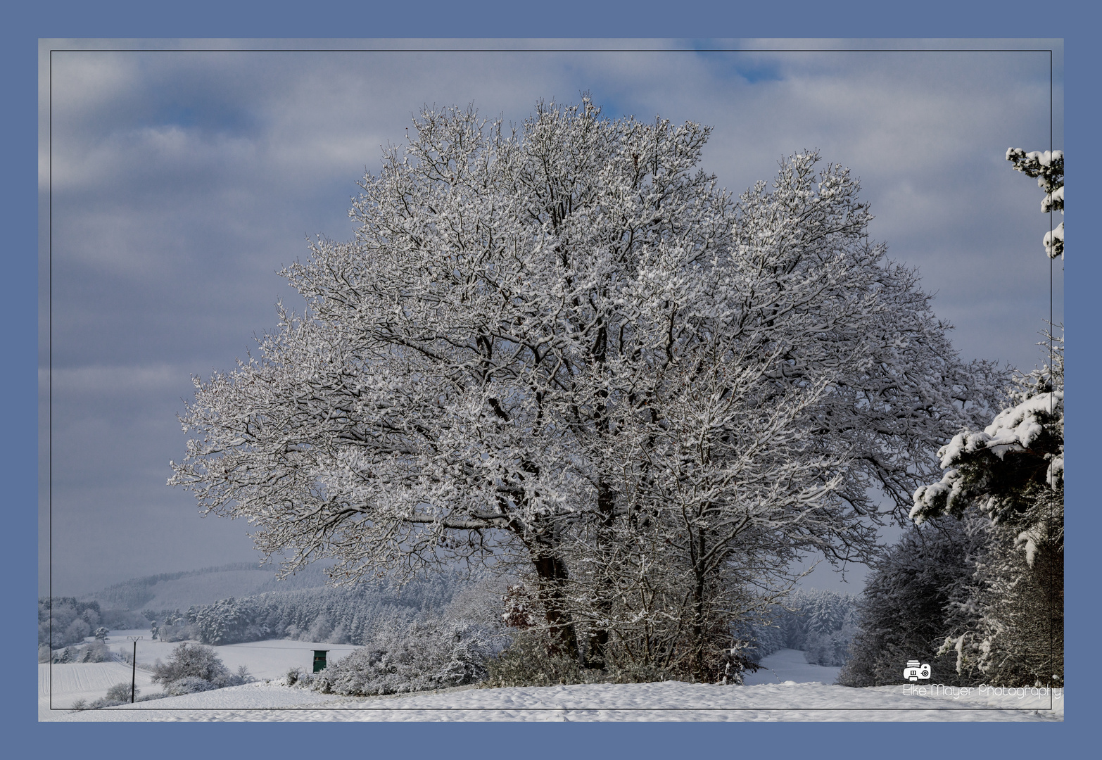 Winterwonderland (1 von 1)