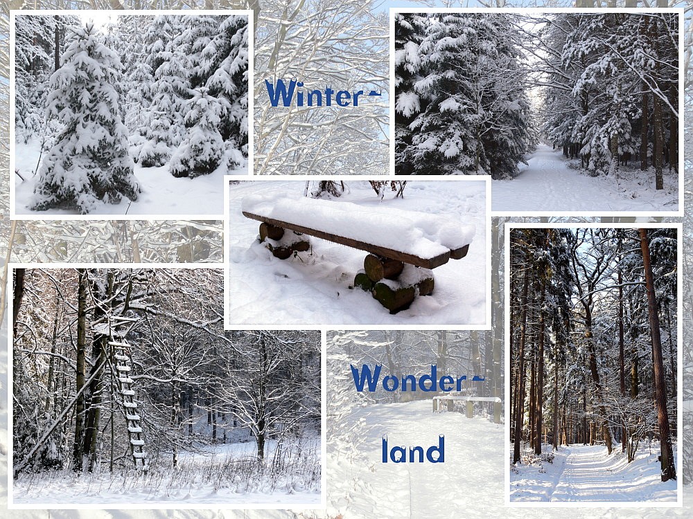 Winterwonderland