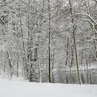 Winterwonderland 2