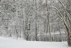 Winterwonderland 2