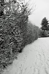 Winterwonderland - 2 -