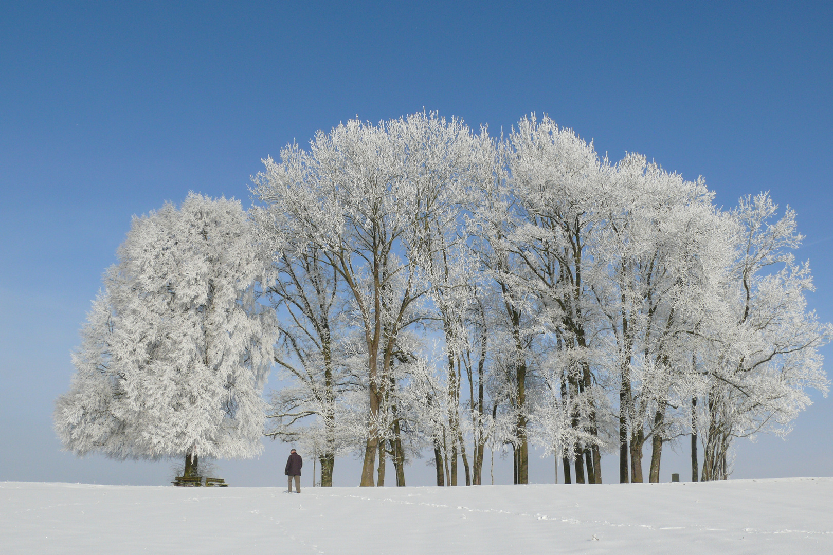 Winterwonderland