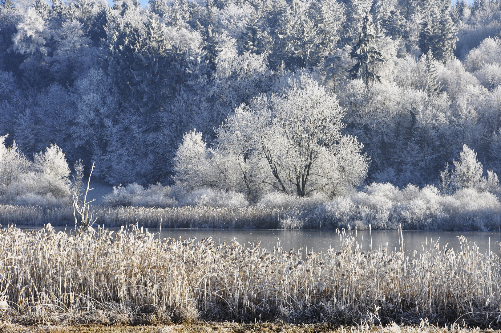 Winterwonderland