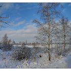 Winterwonderland 3