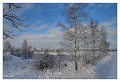Winterwonderland 3