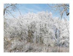 Winterwonderland (3)