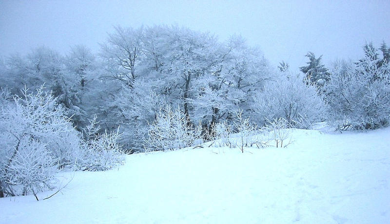 Winterwonderland 3