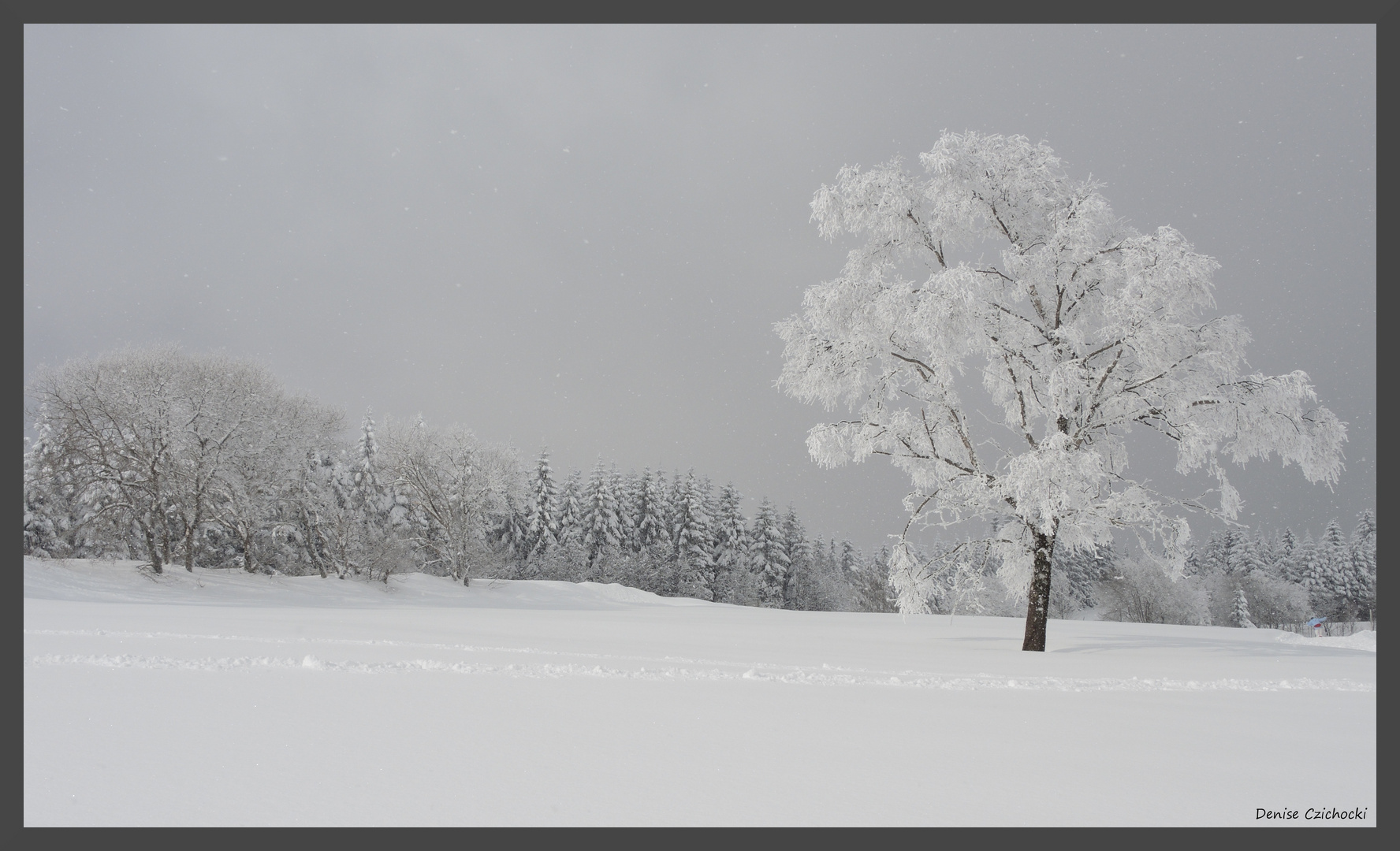 Winterwonderland