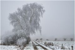 Winterwonderland