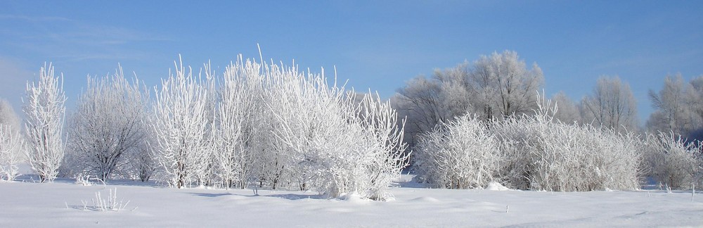 Winterwonderland