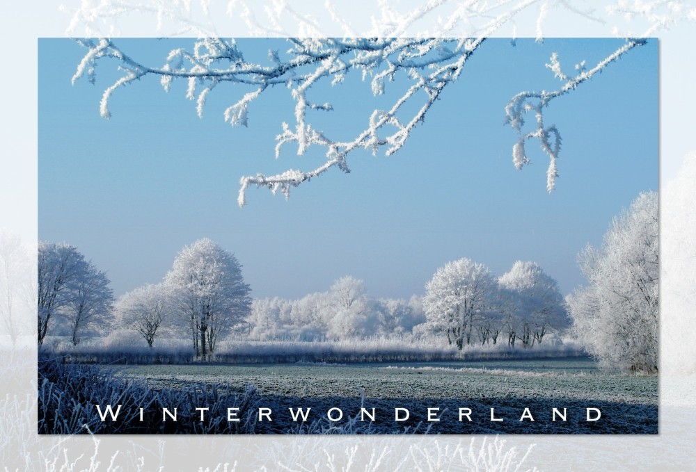 Winterwonderland