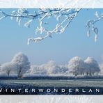 Winterwonderland