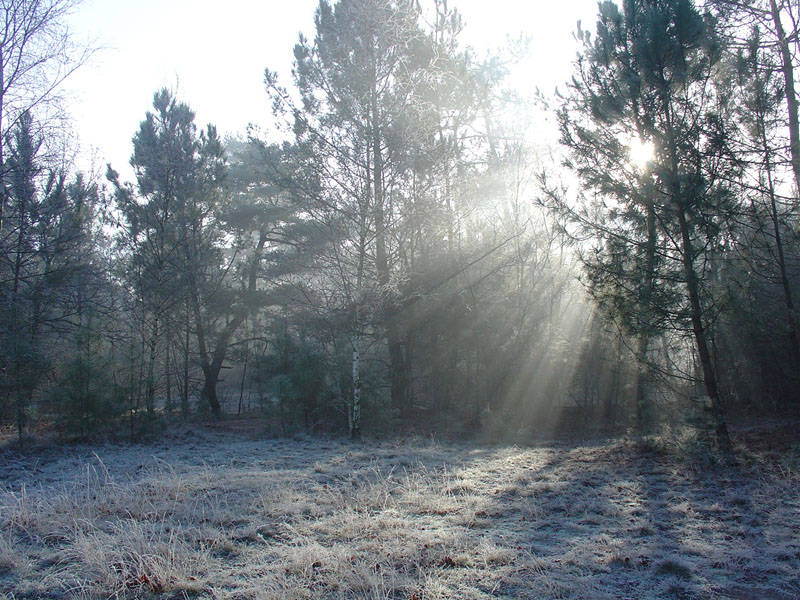 winterwonderland