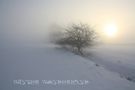 Winter*Wonderland von Reiner Henseleit 