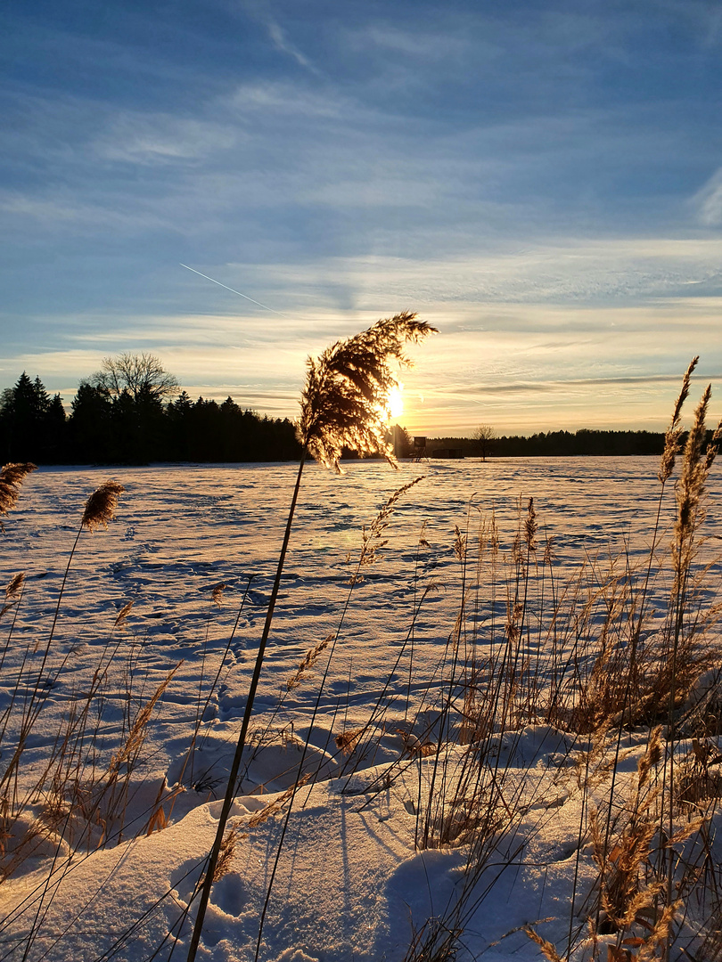 Winterwonderland