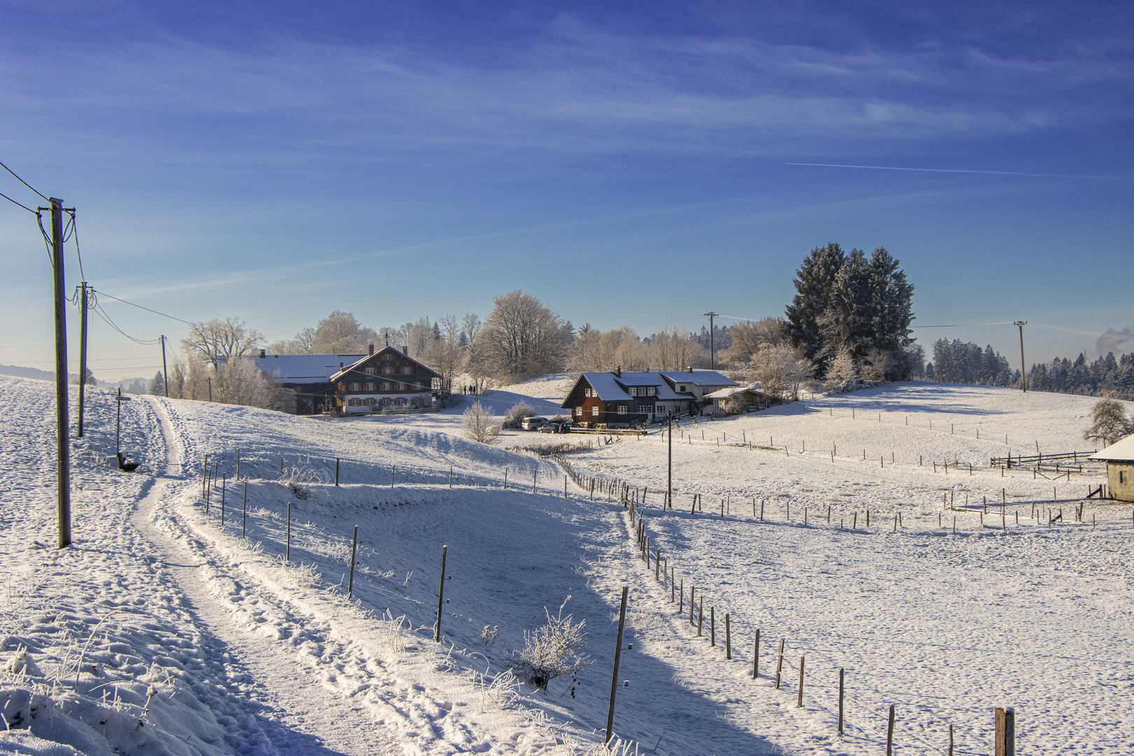 Winterwonderland