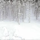 winterwonderland