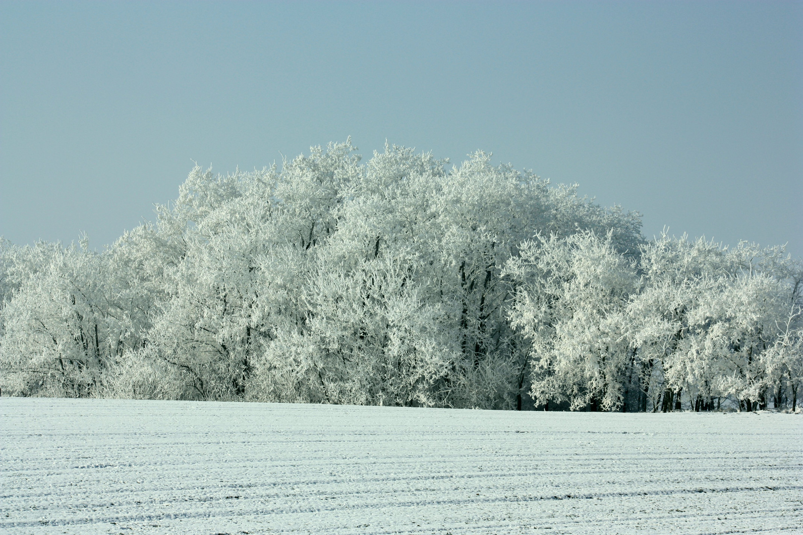 Winterwonderland