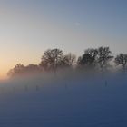 Winterwonderland als Panoramaaufnahme