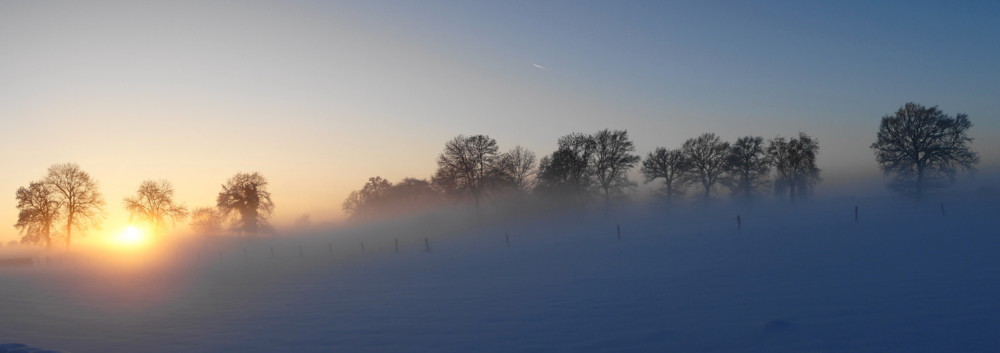 Winterwonderland als Panoramaaufnahme