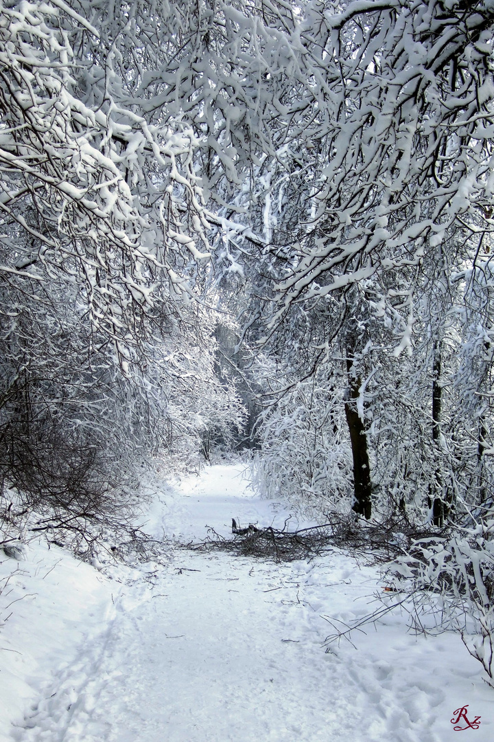 Winterwonderland am Dörenberg im Osnabrücker Land