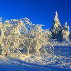 Winterwonderland am Großen Feldberg