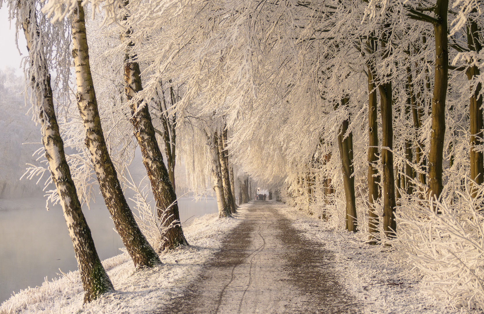 Winterwonderland am Kanal