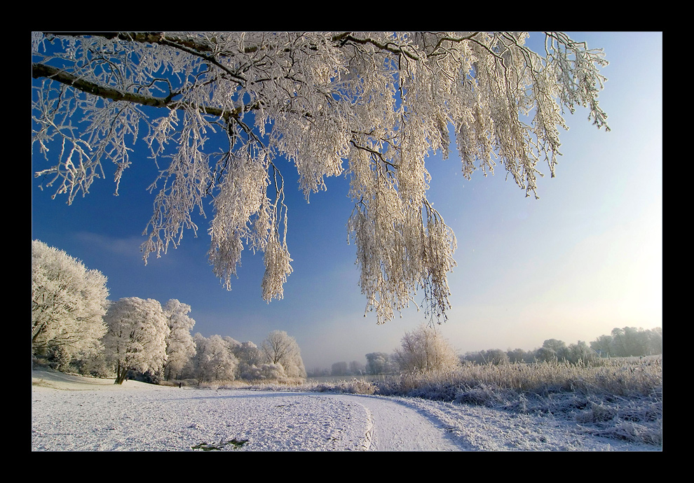 Winterwonderland an der Lesum #4