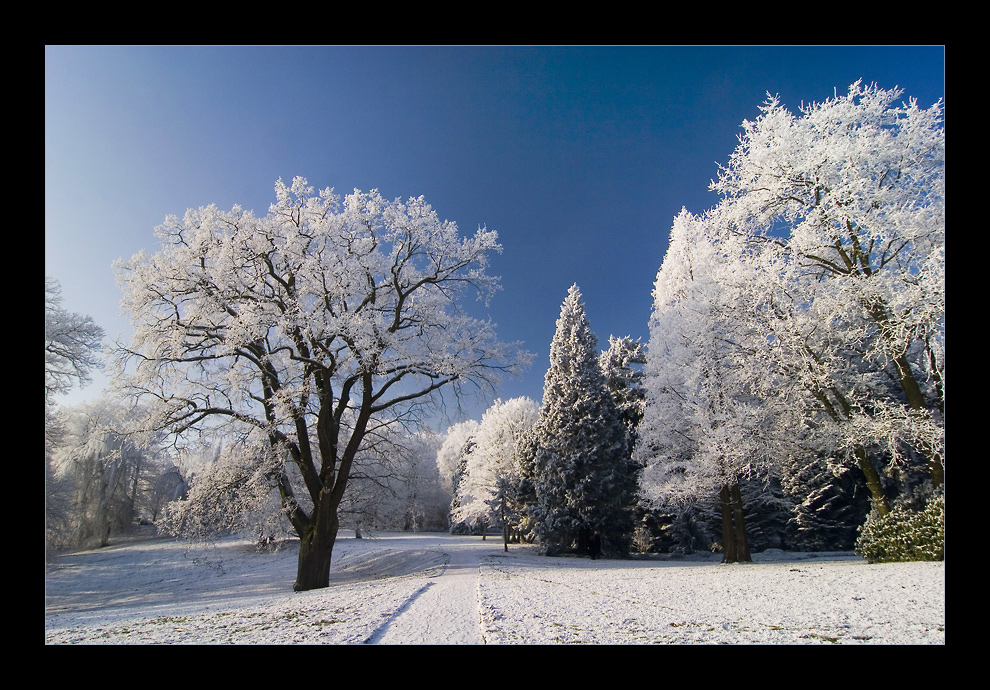 Winterwonderland an der Lesum #7