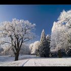 Winterwonderland an der Lesum #7