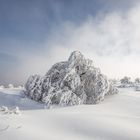 Winterwonderland auf der Hornisgrinde