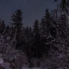 Winterwonderland bei Nacht