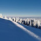 Winterwonderland - Bödele, Vorarlberg