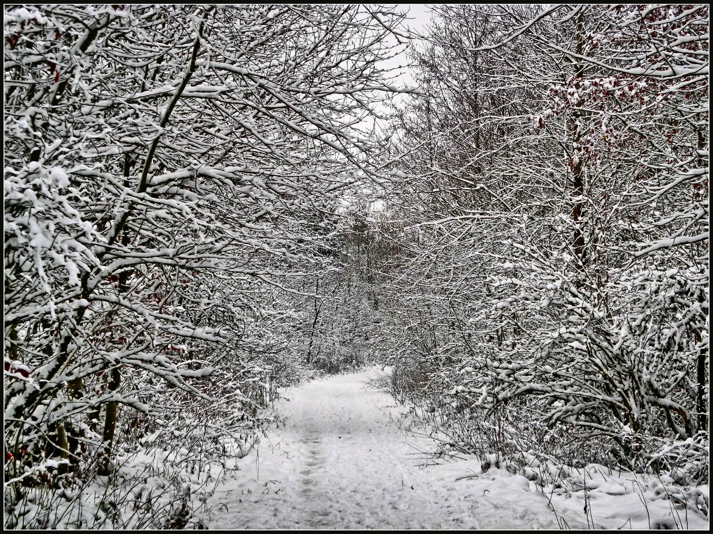 Winterwonderland