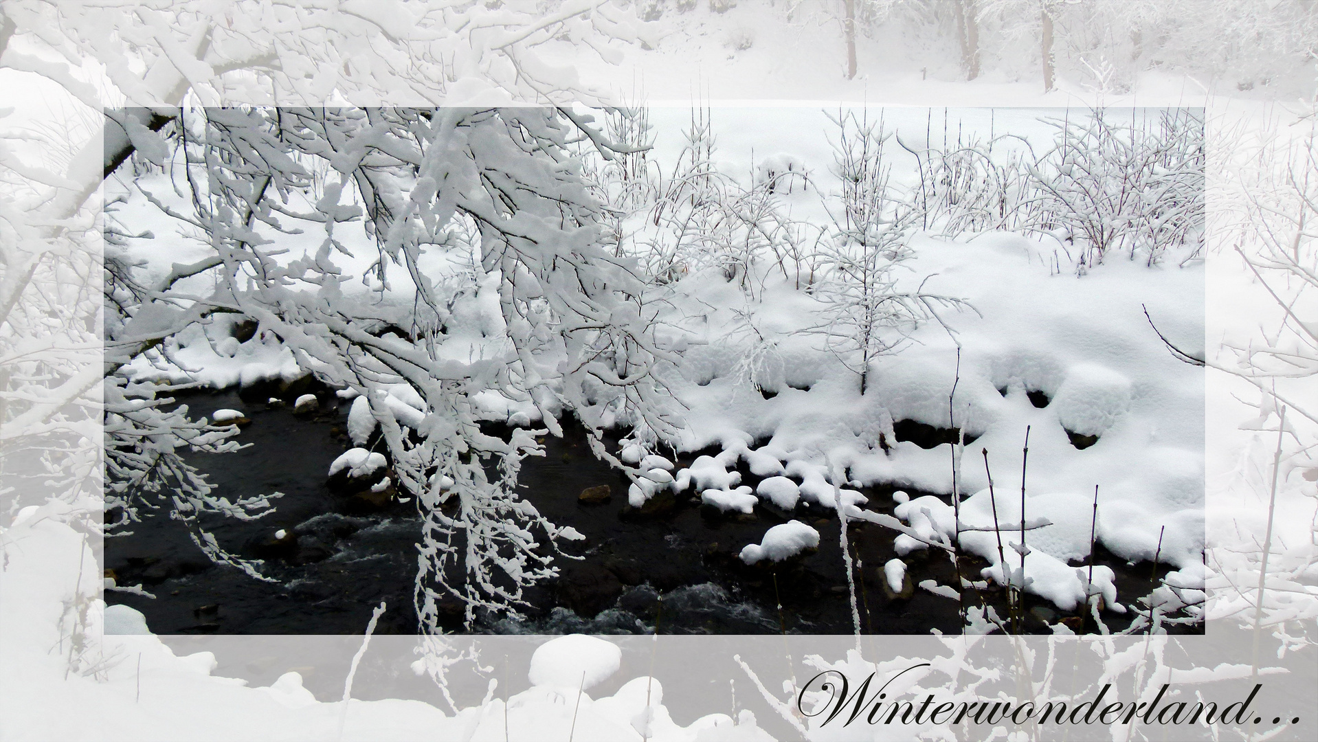 Winterwonderland