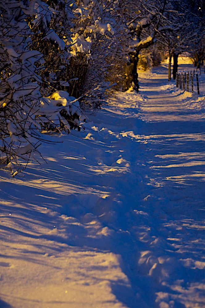 Winterwonderland von Daniel Solinger 