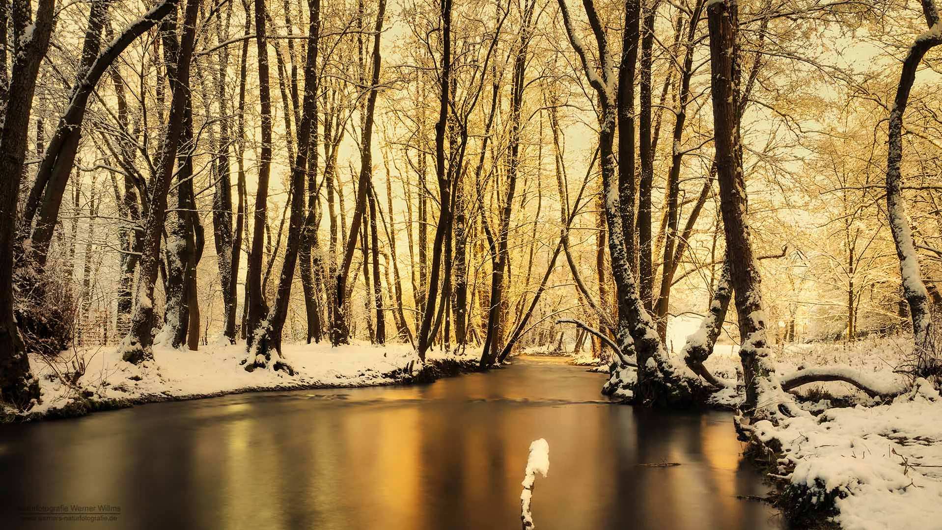 WinterWonderland Eifel