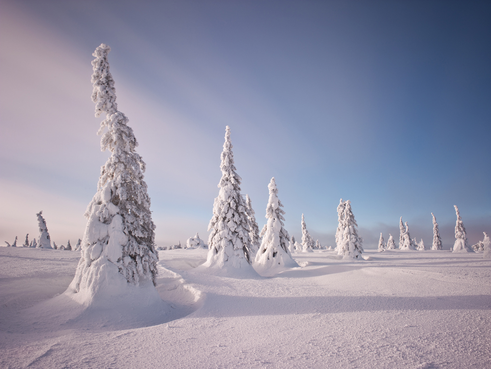 Winterwonderland Finnland