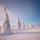 Winterwonderland Finnland