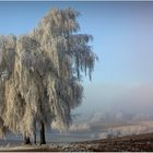 Winterwonderland geht auch ohne Schnee