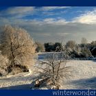 winterwonderland I