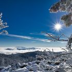 *** Winterwonderland im Bayerischen Wald ***