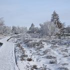 Winterwonderland im Hohen Venn